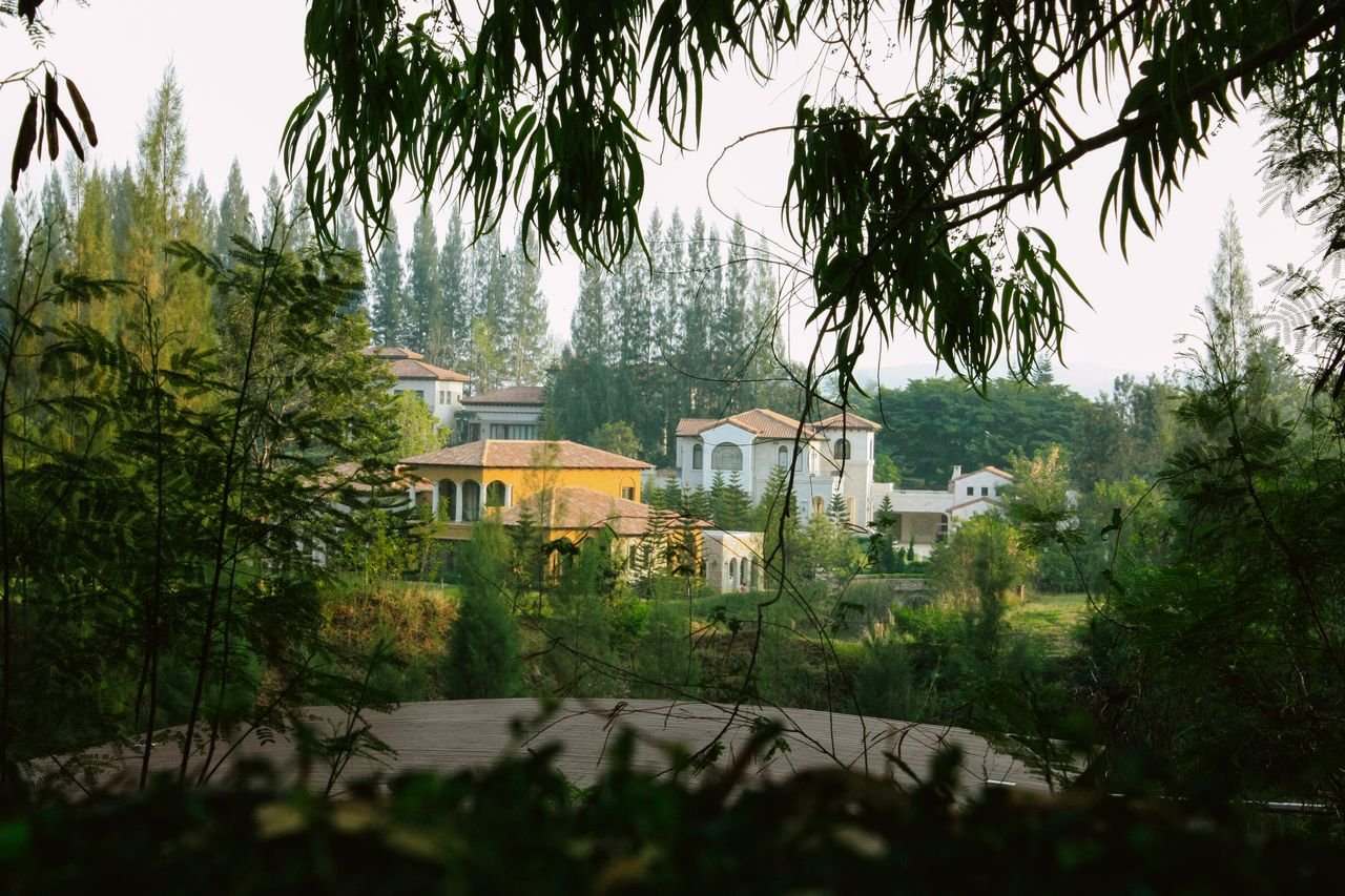 Idyllic forest panorama showcasing luxurious villas in a serene landscape.