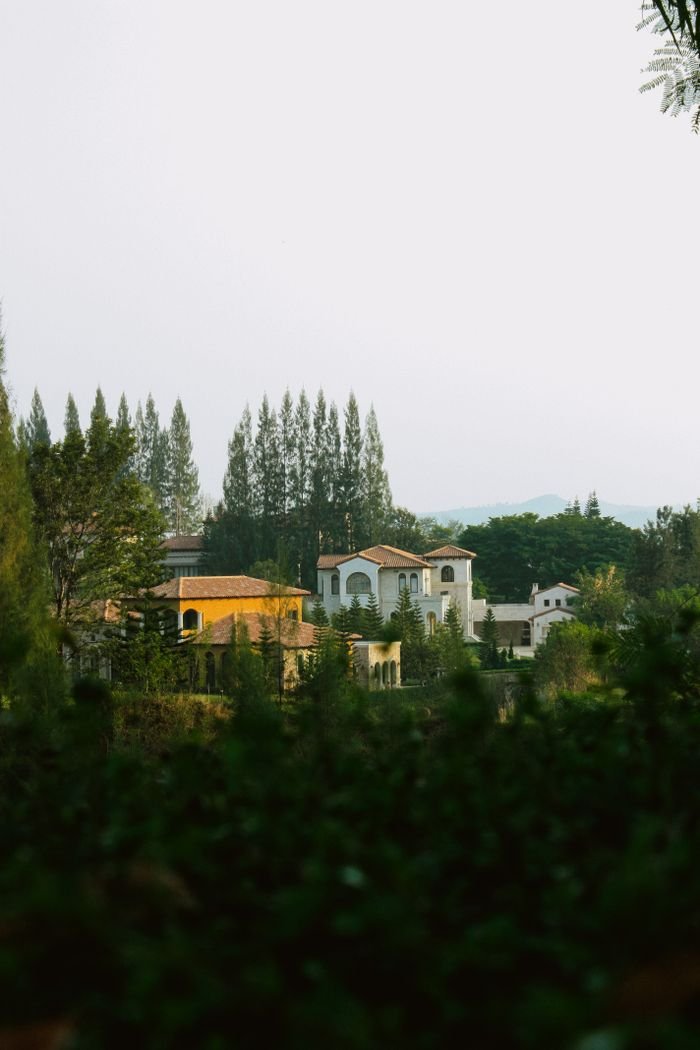 Scenic view of luxurious villas amidst greenery, depicting a serene summer residential district.